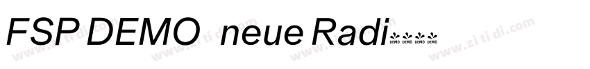 FSP DEMO   neue Radi字体转换
